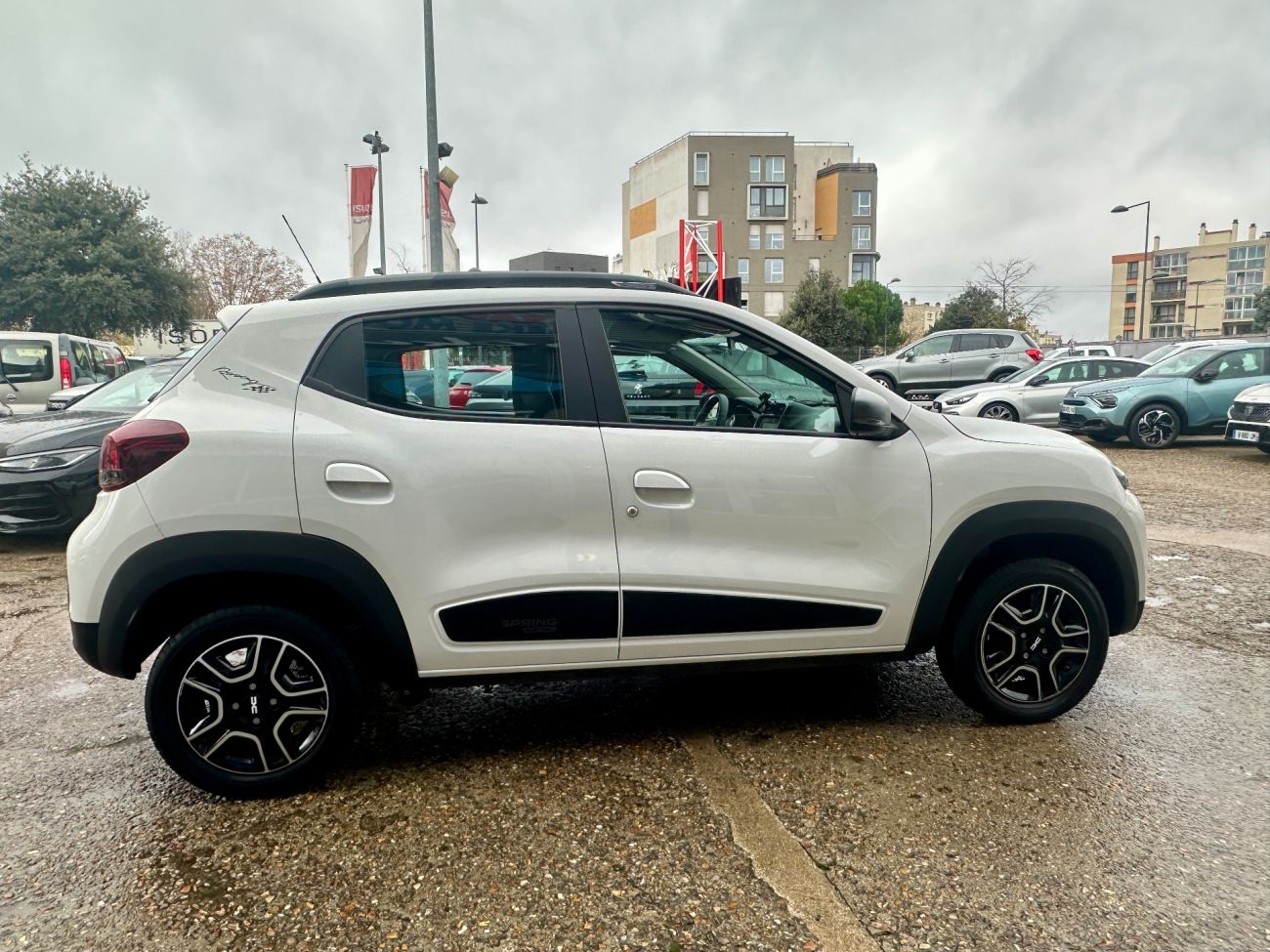 Mandataire Dacia SPRING Expression