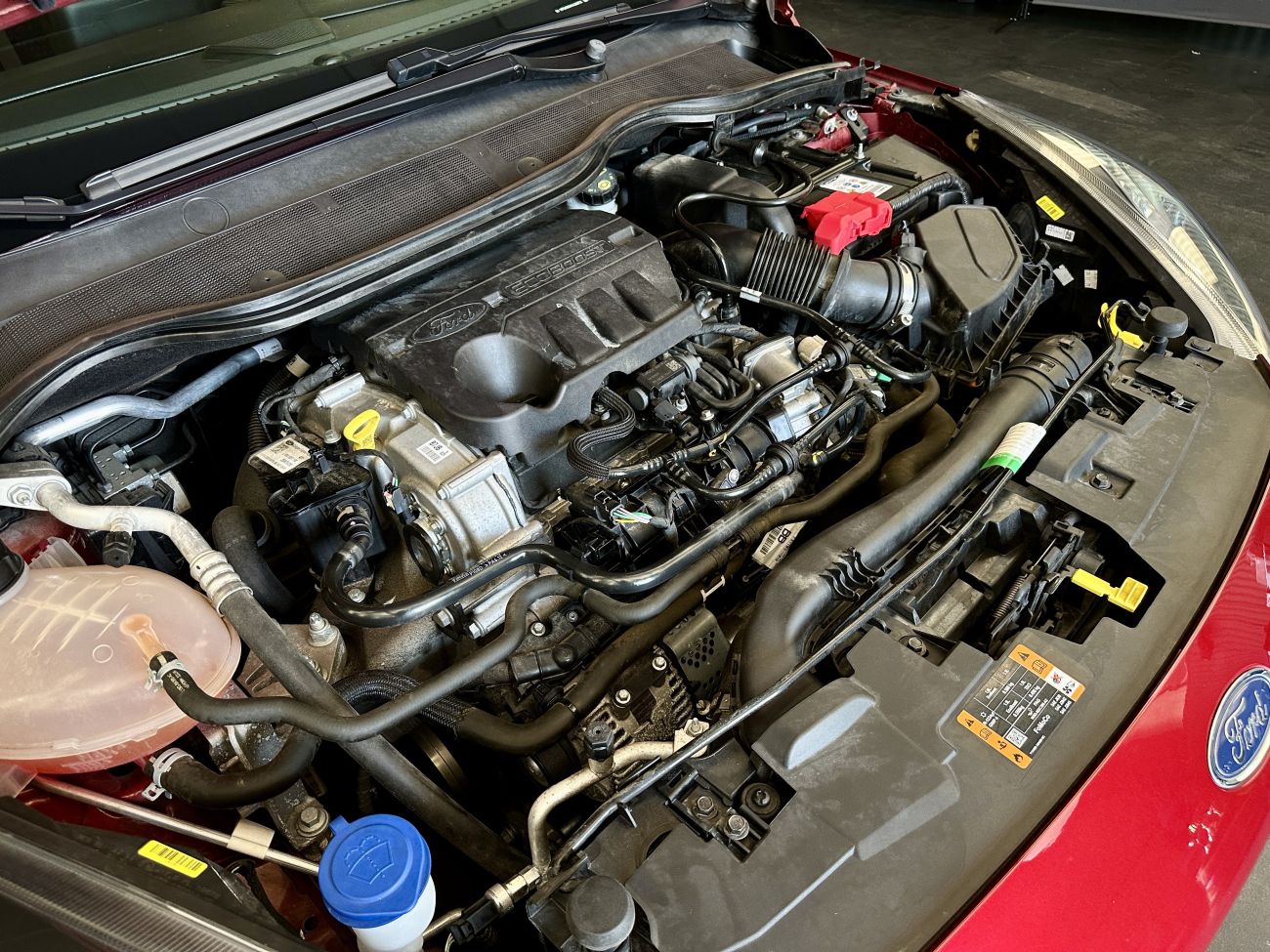 Mandataire Ford FIESTA 1.0 EcoBoost 125 ch S&S mHEV BVM6 Titanium X