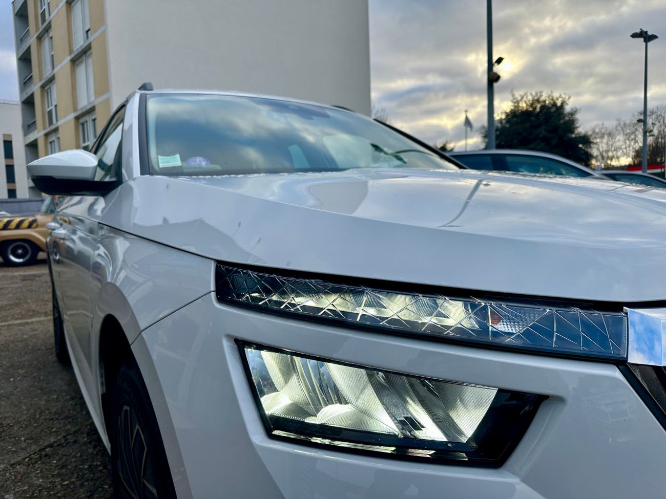 Mandataire SKODA KAMIQ 1.0 TSI Evo 110 ch DSG7 Ambition