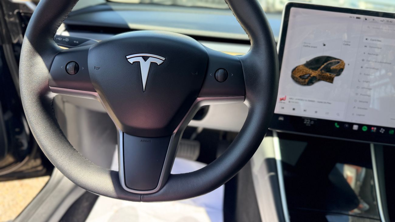 Mandataire TESLA MODEL 3 Standard Range Plus RWD